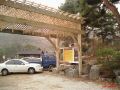 gate pine 04.JPG